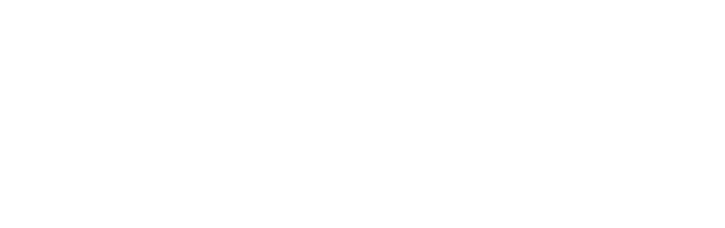 Raptor Rooter & Plumbing logo and name in all white