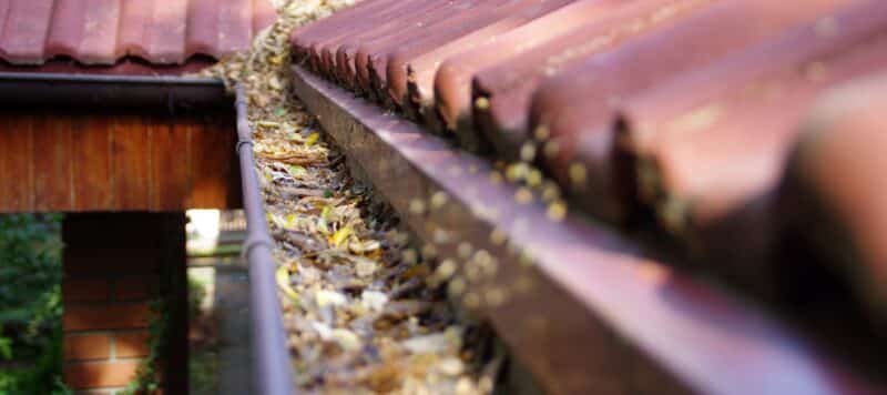 closeup of dirty gutters that need to be cleaned